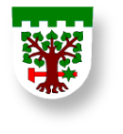 Bohdašín